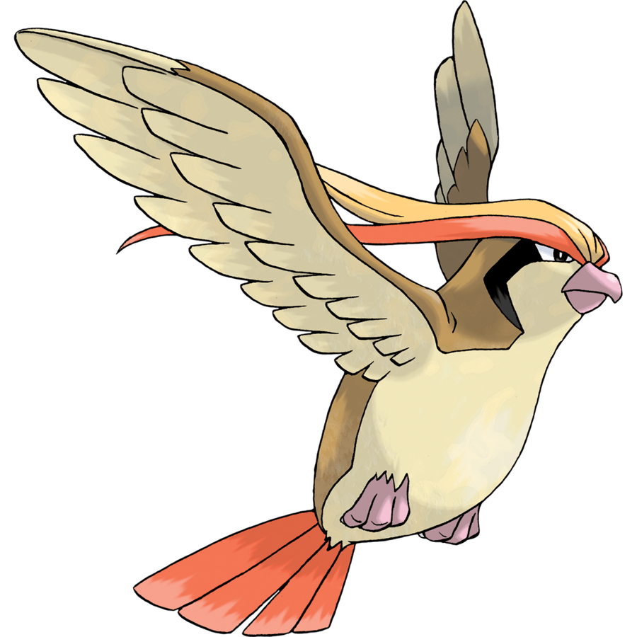 Pokémon Review: Pidgey, Pidgeotto, and Pidgeot